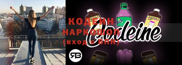 индика Ветлуга