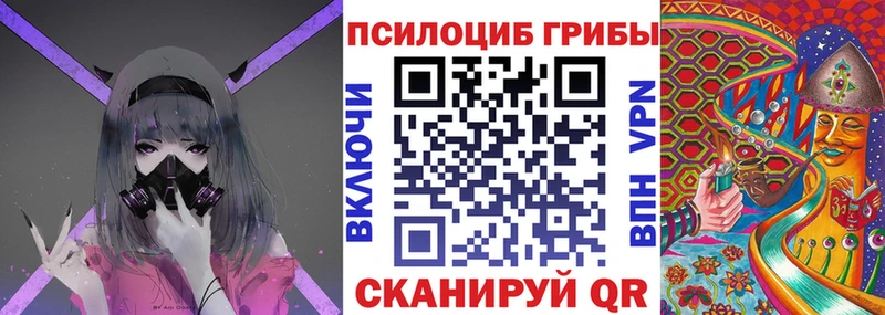 хочу   Тетюши  Псилоцибиновые грибы прущие грибы 
